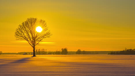 5K-Time-lapse-of-golden-sunset-lighting-on-snow-covered-agricultural-fields-in-nature---Spectacular-landscape-with-tree-silhouette-in-winter