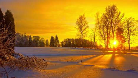 Wundervoller-Farbwechsel-Am-Himmel-Bei-Sonnenuntergang-Im-Gefrorenen,-Verschneiten-Wald