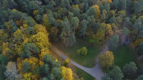 Sobrevuelo-Aéreo-Del-Parque-Vingis-En-Vilnius-Lituania-Con-Vibrantes-Colores-Otoñales