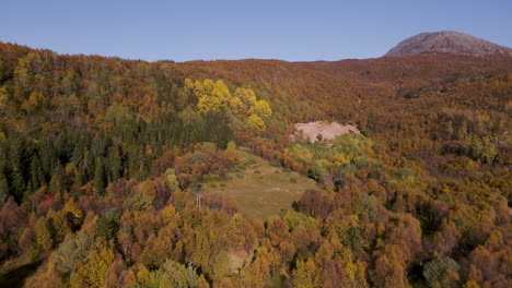 Lush-Forest-Landscape-In-Autumn-at-a-Mountain-in-Senja-Island-In-Norway--Aerial-shot
