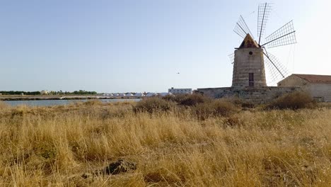 Bird-flying-over-Mulino-Maria-Stella-windmill-in-front-of-saline-in-province-of-Trapani,-Sicily