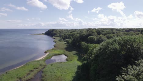 Aerial-Shot-of-the-Sea-and-a-Forest-in-Denmark-Scandinavia---Dolly-Shot