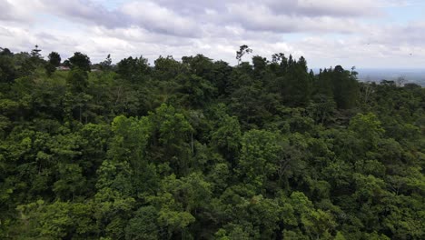 Drone-orbiting-around-a-mountain-covered-by-thick-rainforest-and-a-building-on-top-of-a-hill-in-central-America