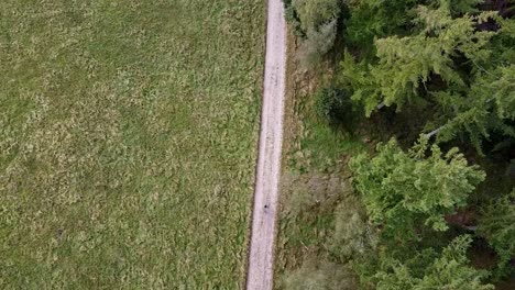 Top-Drone-shot-of-a-guy-walking-outside-in-green-nature