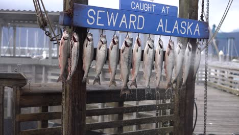 Seward-Alaska-Ortsschild-Mit-Fischerfängen