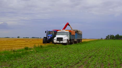 A-tractor-dumps-the-load-of-harvested-wheat-onto-a-trailer-for-transportation