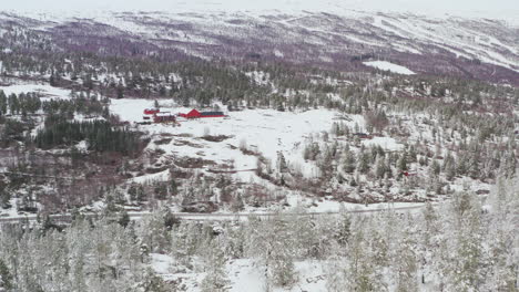 Paisaje-Invernal-En-El-Condado-De-Innlandet-Noruega-Con-árboles-Y-Campos-Cubiertos-De-Nieve---Toma-Aérea-De-Drones