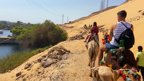 Primer-Plano-De-Muchos-Turistas-Montando-Camellos-En-Un-Ambiente-Desértico-En-La-Orilla-Del-Río-Nilo-En-Un-Pueblo-Nubio-De-Aswan