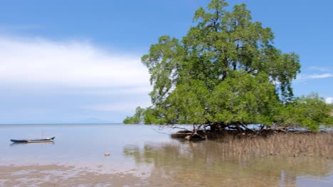 Mangroves-and-trees-intertidal-ecosystem-with-traditional-fishing-canoe-boats-on-the-shoreline-at-low-tide-on-tropical-island-in-Southeast-Asia,-slow-pan-from-left-to-right
