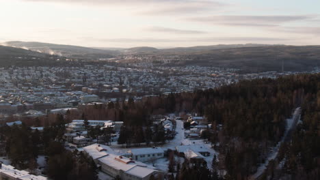 An-aerial-view-of-Sundsvall's-Forest-and-Houses-at-Morning-light