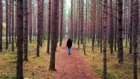 Una-Mujer-Caminando-En-Un-Bosque-De-Pinos-En-Otoño