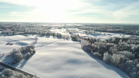 Drone-flight-over-a-path-surrounded-by-forests-and-snow-covered-fields-on-a-clear-winter's-day