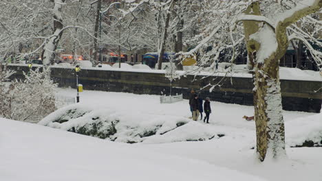 Hunde-Begrüßen-Sich-An-Einem-Verschneiten-Tag-Im-Central-Park-Von-New-York,-Während-Im-Hintergrund-Notlichter-Von-Feuerwehrautos-Aufleuchten