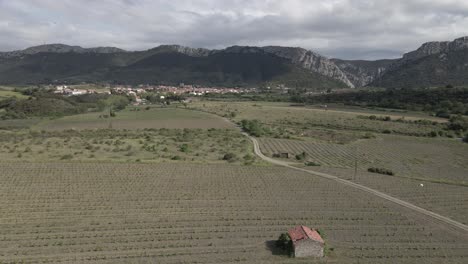 Aerial-flyover-of-young-vineyard-toward-small-French-town-in-Pyrenees
