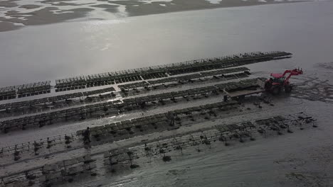 Criaderos-De-Ostras-En-El-Estuario-De-Camellos-Durante-La-Marea-Baja.