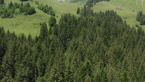 Drohne-Fliegt-Langsam-über-Baumwipfel-Und-Enthüllt-Ein-Wunderschönes-Grünes-Tal,-Umgeben-Von-Hügeln-Und-Bergen