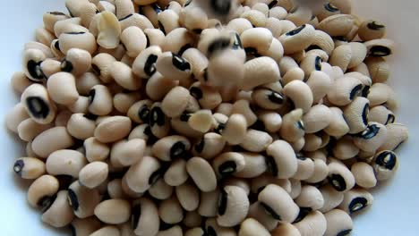 Close-up-shot-of-raw-black-eyed-beans-falling-on-white-plate