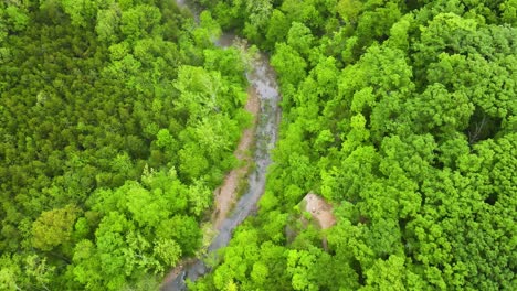 River-in-Green,-Forest-Ecosystem-in-America-Midwest-State-of-Missouri---Aerial
