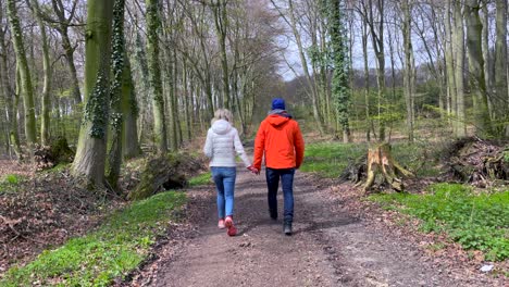 Slow-motion-rear-shot-of-adult-couple-holdings-hands-and-walking-on-rural-forest-path-during-sunny-day-in-wilderness