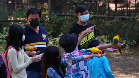 Familie-Mit-Masken-Beim-Füttern-Dieser-Schönen-Sittiche,-Während-Sie-Ihnen-In-Die-Hände-Fliegen,-Ein-Mädchen-Nutzt-Ihr-Handy,-Um-Ein-Paar-Fotos-Zu-Machen,-Zeit-In-Einem-Zoo-In-Einer-Voliere,-Sittiche,-Sonnensittich,-Aratinga-Solstitialis