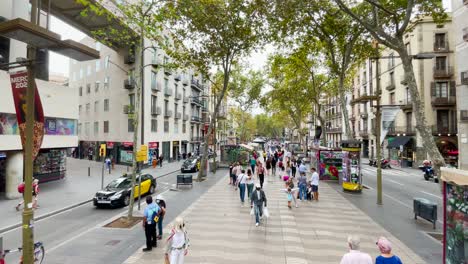 Camine-Por-El-Centro-De-Barcelona-Con-Un-Cardán-Caminando-Hacia-Adelante-Por-El-Camino-Peatonal