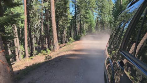 rear-side-view-of-black-car-driving-through-dirt-road-in-pine-forest