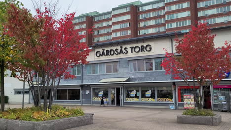 Bäume-Im-Herbstlaub-Am-Gardsas-Platz-In-Göteborg,-Schweden-Mit-Gebäuden-Und-Schaufenster-Im-Hintergrund