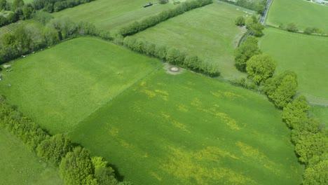 Aerial-view-above-green-clean-farm-meadow-patchwork-countryside-landscape-tilting-up-into-the-distance