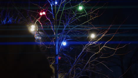 Low-angle-view-of-a-tree-lit-up-by-colorful-bulbs-during-Porvoo-Light-Festival-Uusimaa-in-Finland-during-night-time-during-winter