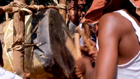 Timorese-youth-drumming-on-a-homemade-cowhide-drum-at-traditional-cultural-welcome-ceremony-at-remote-village-in-Timor-Leste,-Southeast-Asia,-closeup-of-boys-drumming