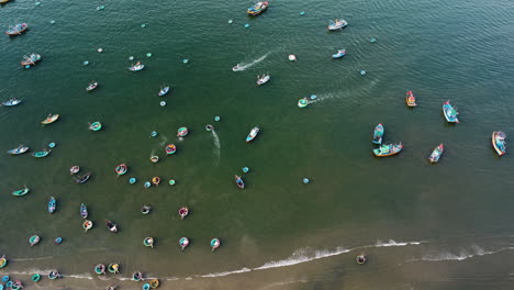 Aerial-top-down,-traditional-Vietnamese-fishing-boats-moored-close-to-beach-shore