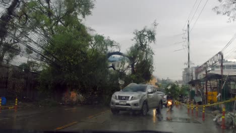 árbol-Caído-En-Una-Calle-Transitada-En-Filipinas-Después-Del-Tifón-Rai