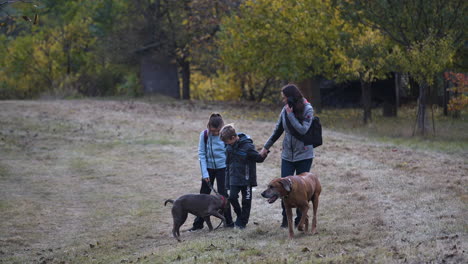 Mother-with-two-kids-and-two-dogs-on-stroll-in-autumn-orchard-field