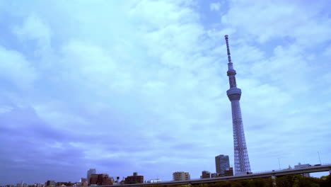 TOKYO-SKYTREE,-ASAKUSA,-TOKYO,-JAPAN-circa-April-2020:-a-few-birds-flying-and-perching-on-the-iron-fence-peacefully