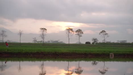 Bauernaktivitäten-Am-Morgen-Mit-Einem-Berghintergrund,-Begleitet-Von-Sonnenaufgang-Am-Himmel-Und-Leichtem-Nebel