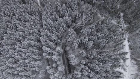 Fpv-Drohnenclip-Aus-Einem-Schneebedeckten-Wald