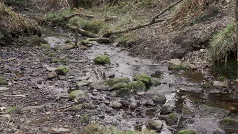 Ein-Kleiner-Wasserlauf,-Der-Durch-Wälder-Auf-Englischem-Ackerland-In-Lancashire-Fließt