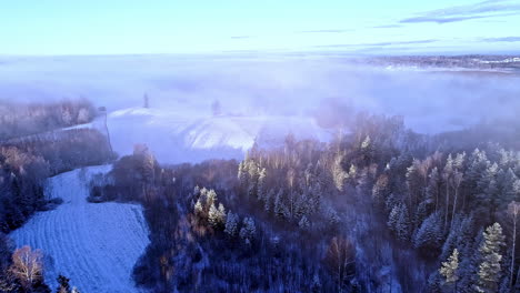 Aerial-forward-moving-shot-over-scenic-snow-covered-trees-in-a-forest-with-mist-moving-at-dawn-during-winter-season