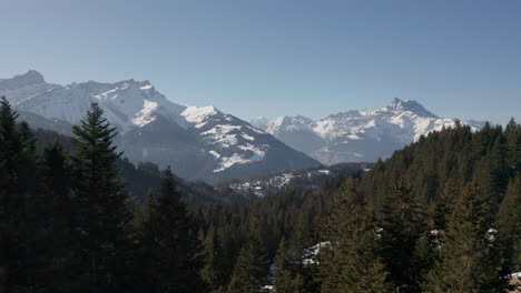 Ausleger-Eines-Kiefernwaldes-In-Einem-Wunderschönen-Schneebedeckten-Tal