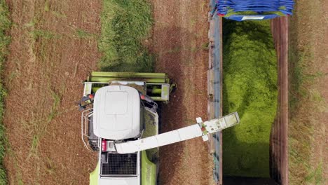 Wheat-silage-picking-process-post-harvest,-Aerial-view