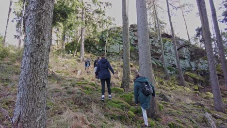 Group-of-travelers-with-backpacks-climb-a-steep-hill-in-a-rocky-forest-on-a-sunny-spring-day