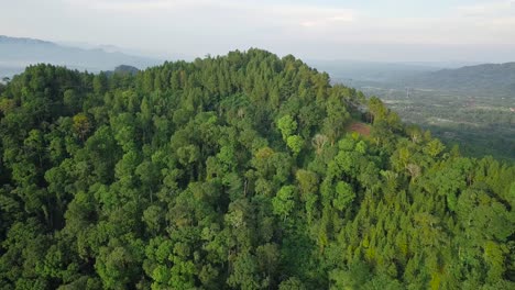 Drone-flying-near-mountains-and-volcano-covered-by-green-trees-in-Indonesia