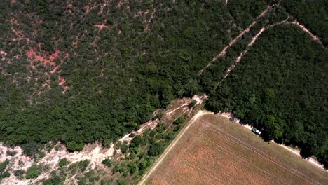 Vista-Aérea-De-La-Sabana-Brasileña-Y-Luego-Campos-De-Soja-Que-Crecen-En-Tierras-De-Cultivo-Deforestadas