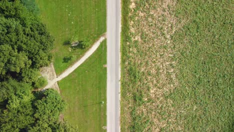 Top-down-drone-view-of-the-road-stripe-in-the-agricultural-field