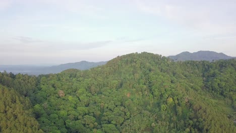 Vuelo-Aéreo-Hacia-Adelante-Sobre-La-Densa-Y-Profunda-Selva-Tropical-Con-Un-Pintoresco-Paisaje-Montañoso-En-El-Fondo---Indonesia,-Asia