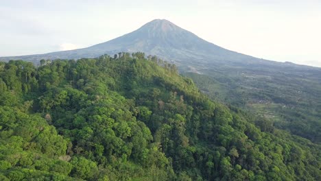 Epic-drone-flight-showing-tropical-forest-trees-growing-on-hilltop-and-famous-Mount-Sumbing-in-background