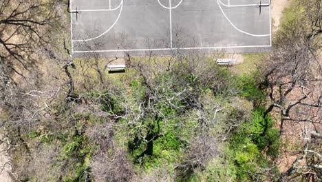 An-aerial-view-over-an-empty-basketball-court-surrounded-by-dry-trees-on-a-sunny-day