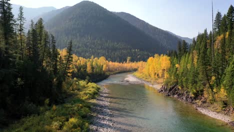Wunderschöne-Herbstfarben-Eines-Waldes,-Der-Einen-Flachen-Bach-Am-Berghang-Im-Glacier-Nationalpark-Umgibt-–-Mittlere-Aufnahme
