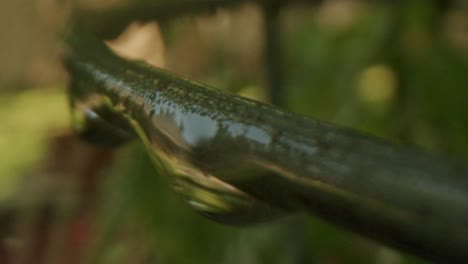 Water-droplets-are-flowing-through-a-metal-ring-outside-in-nature