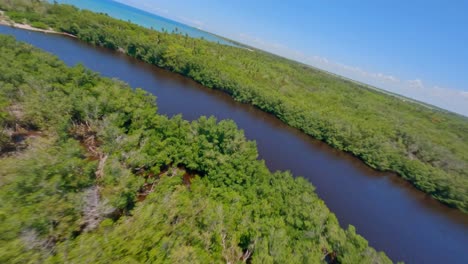 Aerial-drone-fpv-over-mangroves-and-mouth-of-river-at-San-Pedro-de-Macoris-in-Dominican-Republic